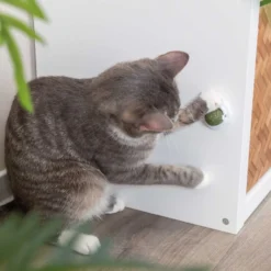 TRIXIE Catnipboll med Hållare