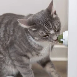 TRIXIE Catnipboll med Hållare