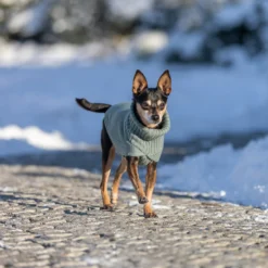 TRIXIE CityStyle Berlin Hundtröja