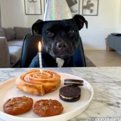 TRIXIE Denta Fun Kanelbulle