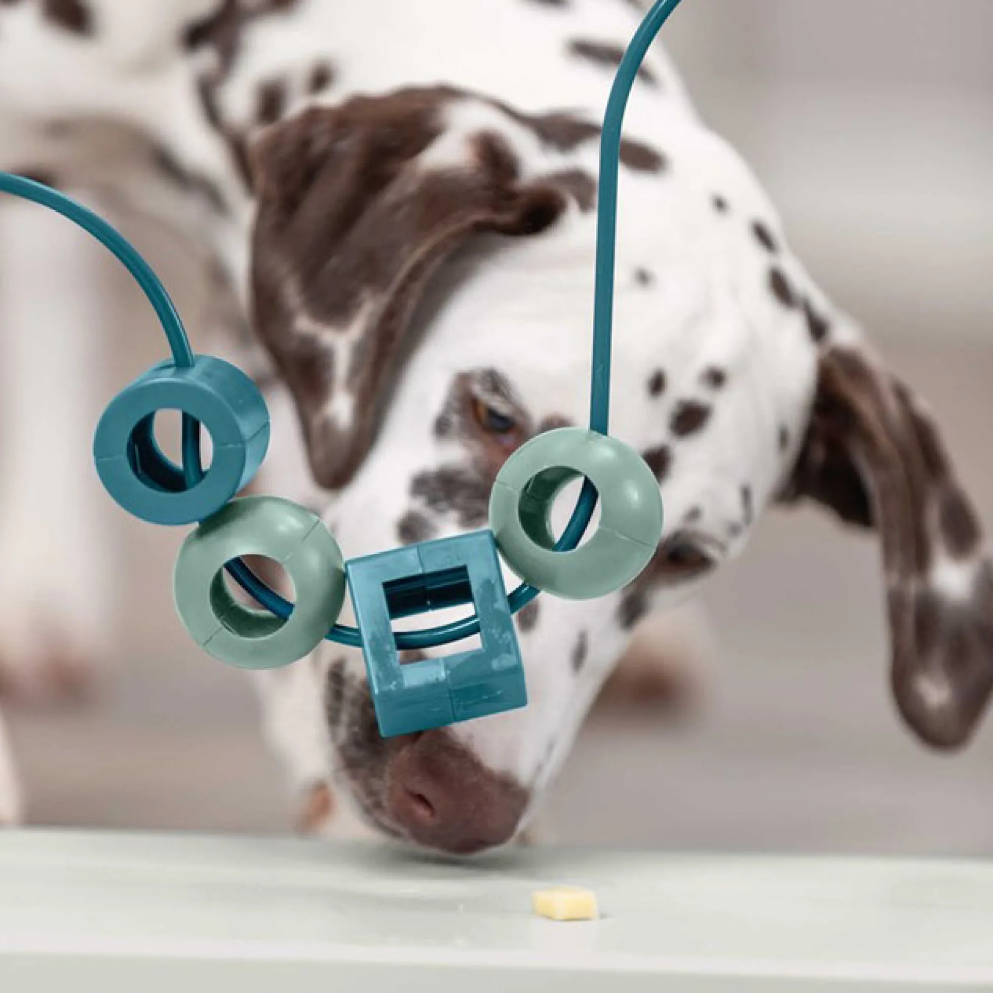 TRIXIE Dog Activity Skills Loop, Nivå 4 Aktivitetsleksak