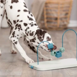 TRIXIE Dog Activity Skills Loop, Nivå 4 Aktivitetsleksak