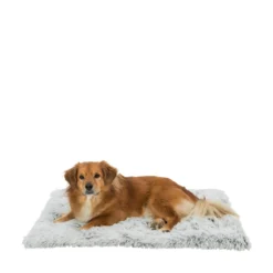 TRIXIE Harvey Hundmatta
