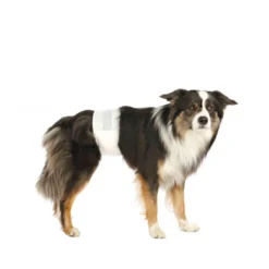 TRIXIE Hundblöjor för Hanhundar 12-pack