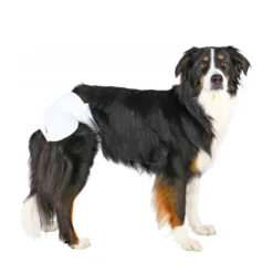 TRIXIE Hundblöjor för Tikar 12-pack