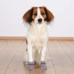 Trixie Hundstrumpor