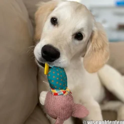 TRIXIE Junior Bunny