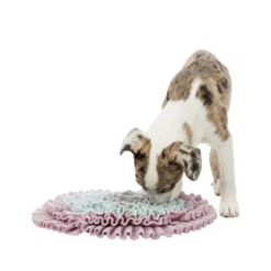 TRIXIE Junior Sniffing Carpet