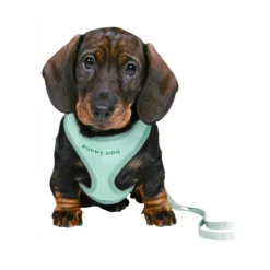 TRIXIE Junior Soft Harness Set