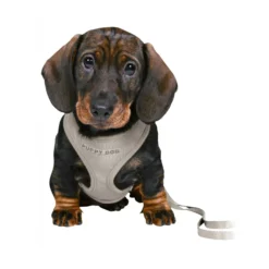 TRIXIE Junior Soft Harness Set