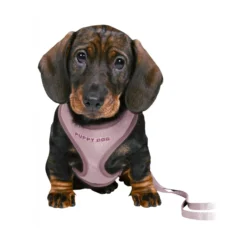 TRIXIE Junior Soft Harness Set