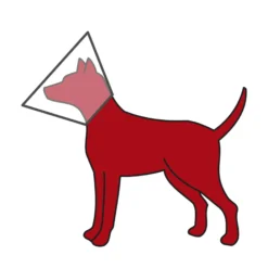 Trixie Klassisk Hundkrage