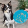 TRIXIE Lick'n'Snack Bowl