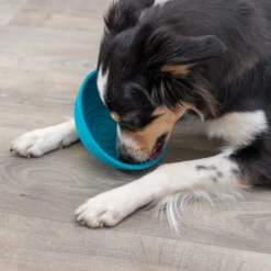 TRIXIE Lick'n'Snack Bowl