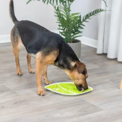 TRIXIE Lick'n'Snack Fodermatta Leaf
