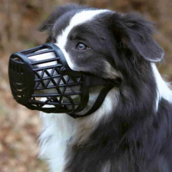 Trixie Munkorg