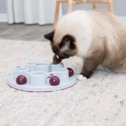TRIXIE Pentagon Aktivitetsleksak