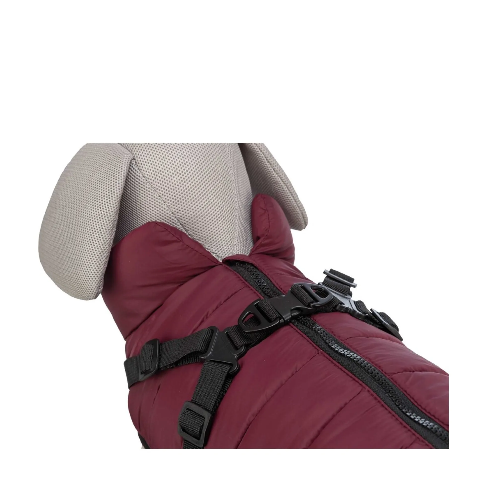 TRIXIE Pirou Vintertäcke med Sele