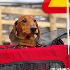 TRIXIE Röd Cykelvagn för Hund