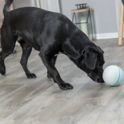 Trixie Snacksboll