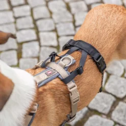 TRIXIE Stay Panic Adapter för Sele