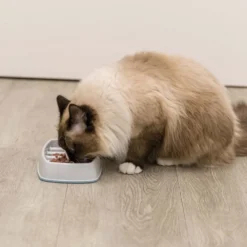 TRIXIE Stripes Slow Feed Matskål