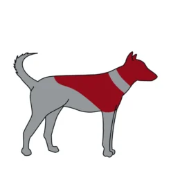 TRIXIE Uppblåsbar Hundkrage