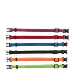 TRIXIE Valphalsband 6-pack