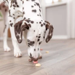 TRIXIE Vegan Cookie Snack Loops