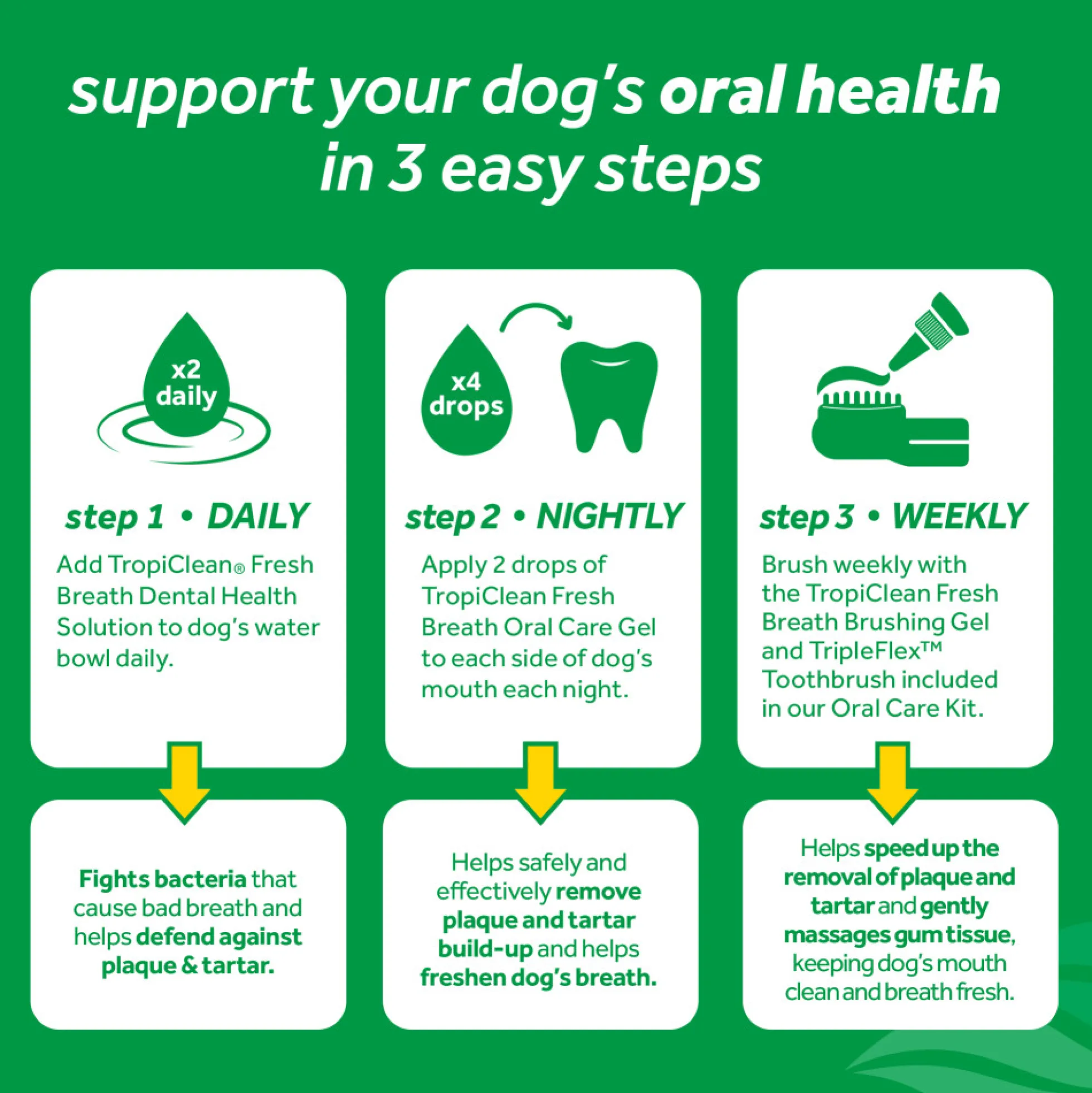 TropiClean Oral Care Kit för Stor Hund
