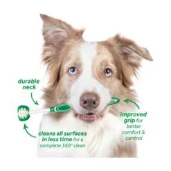 TropiClean Oral Care Kit för Stor Hund