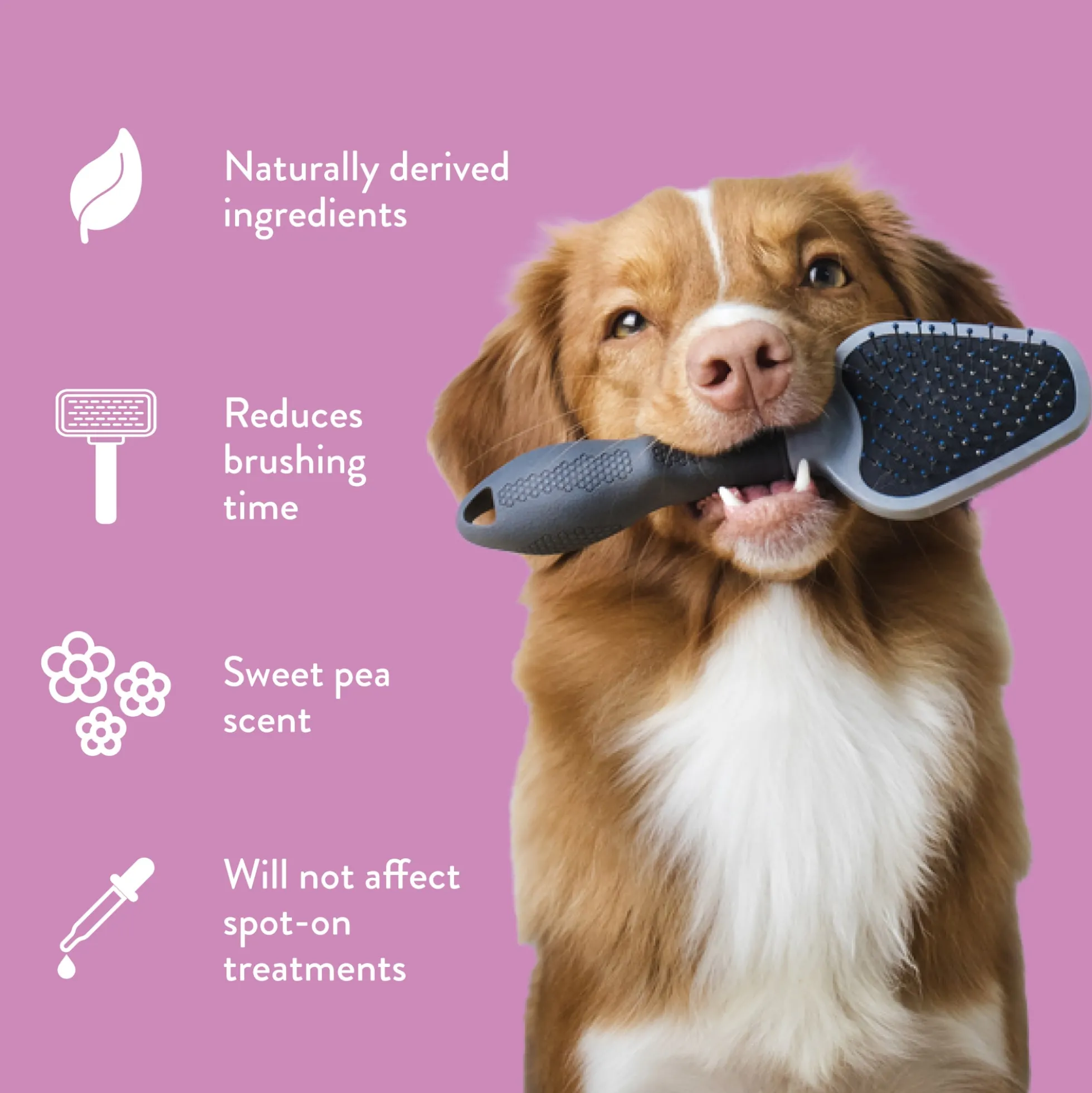TropiClean Tangle Remover