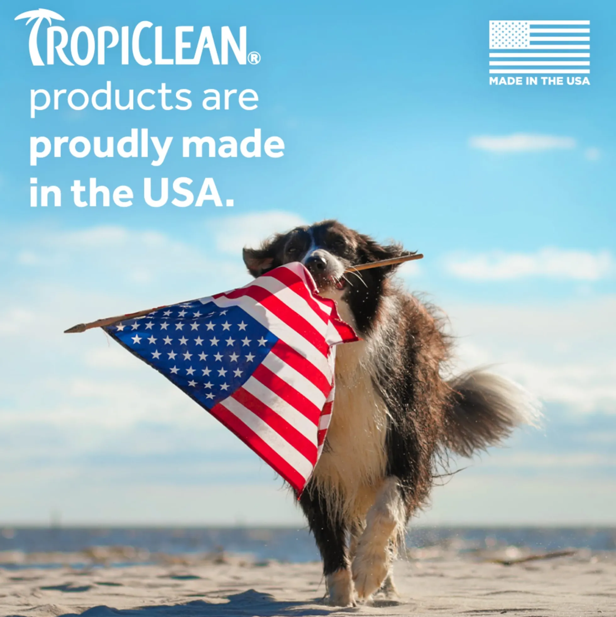 Tropiclean Tear Stain Remover