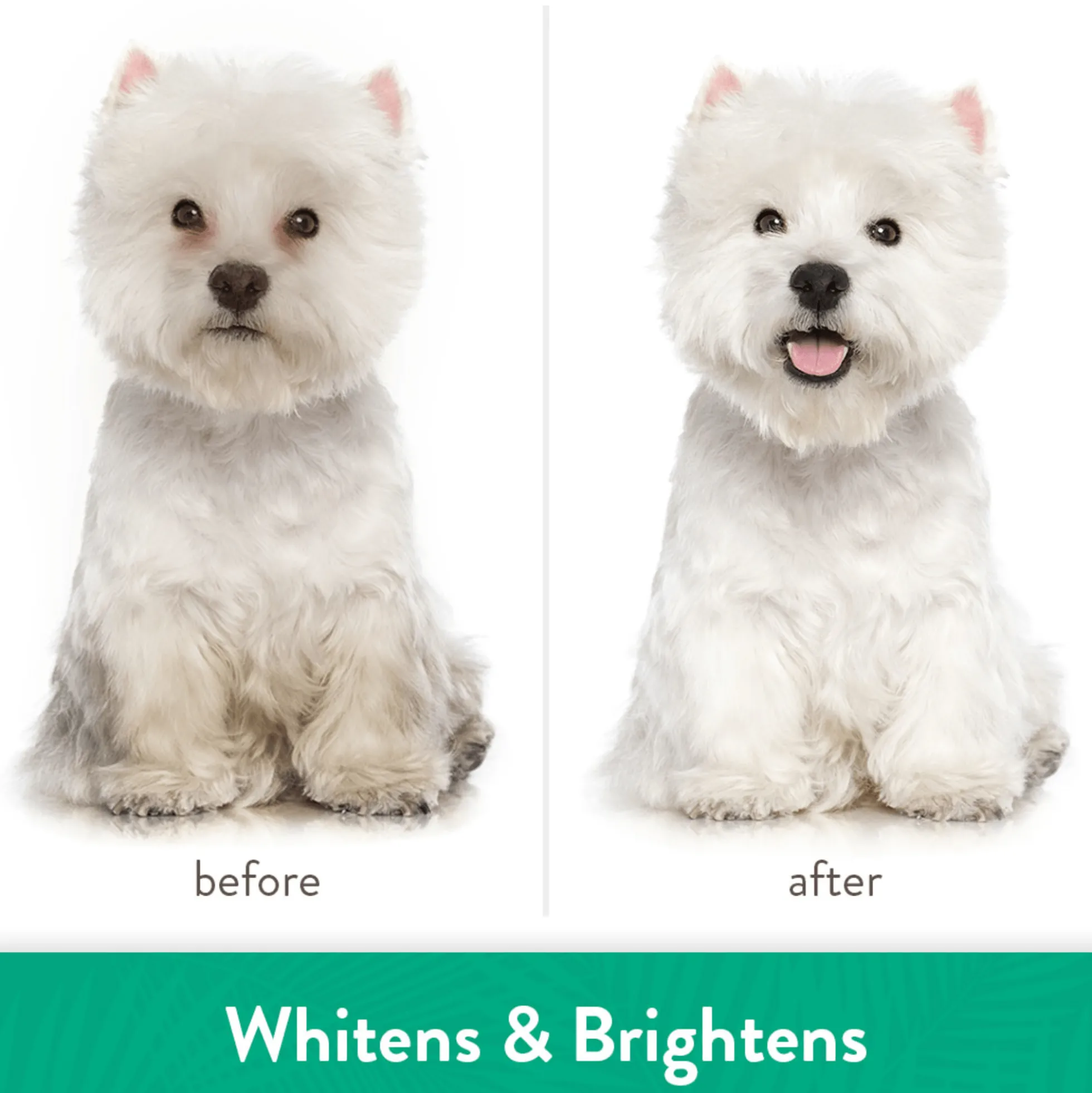 TropiClean Whitening Shampoo