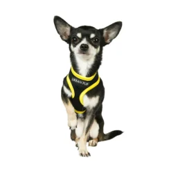 Urban Pup Active Mesh Harness
