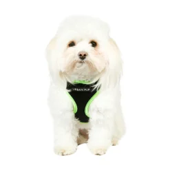 Urban Pup Active Mesh Harness