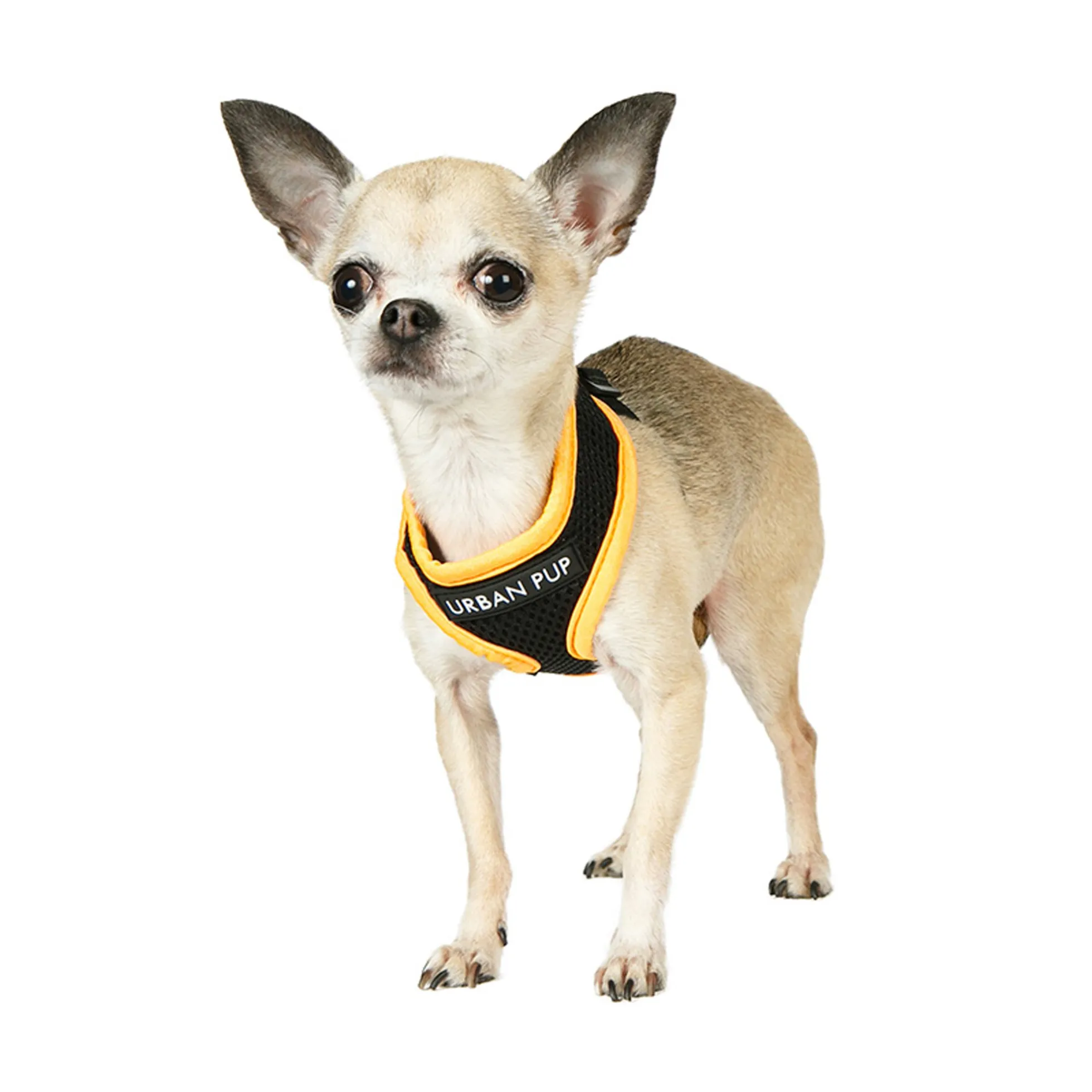 Urban Pup Active Mesh Harness