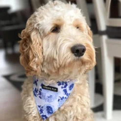 Urban Pup Bandana