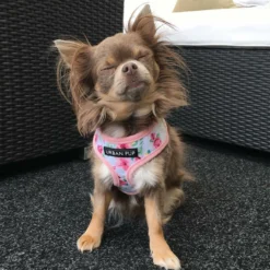 Urban Pup Harness