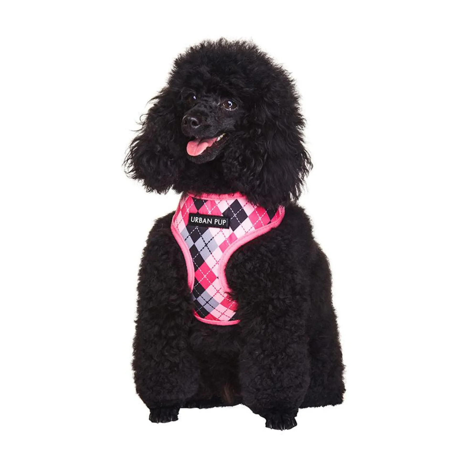 Urban Pup Harness
