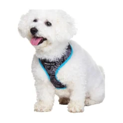 Urban Pup Harness