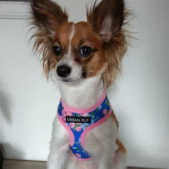 Urban Pup Harness