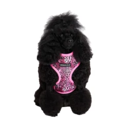 Urban Pup Harness