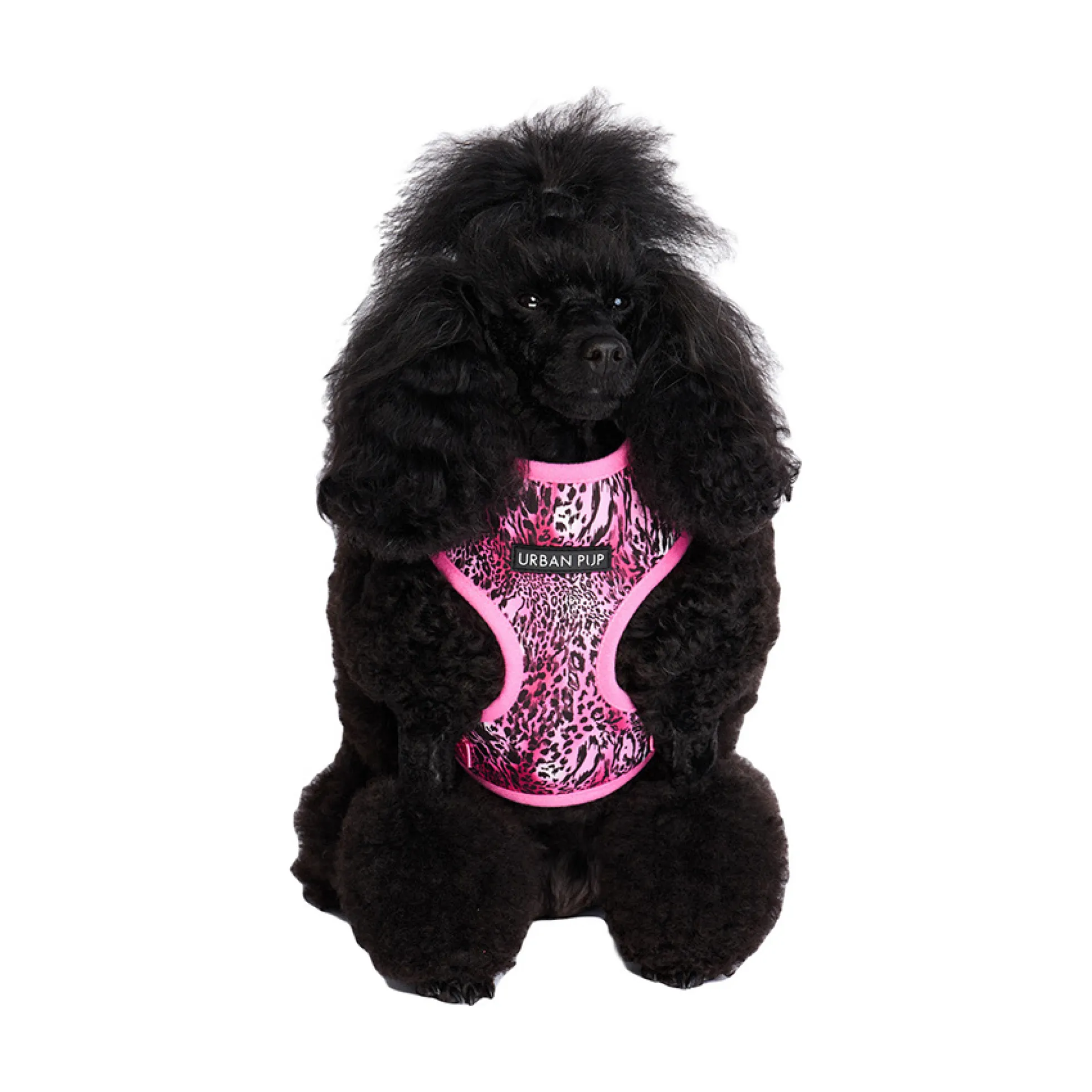 Urban Pup Harness