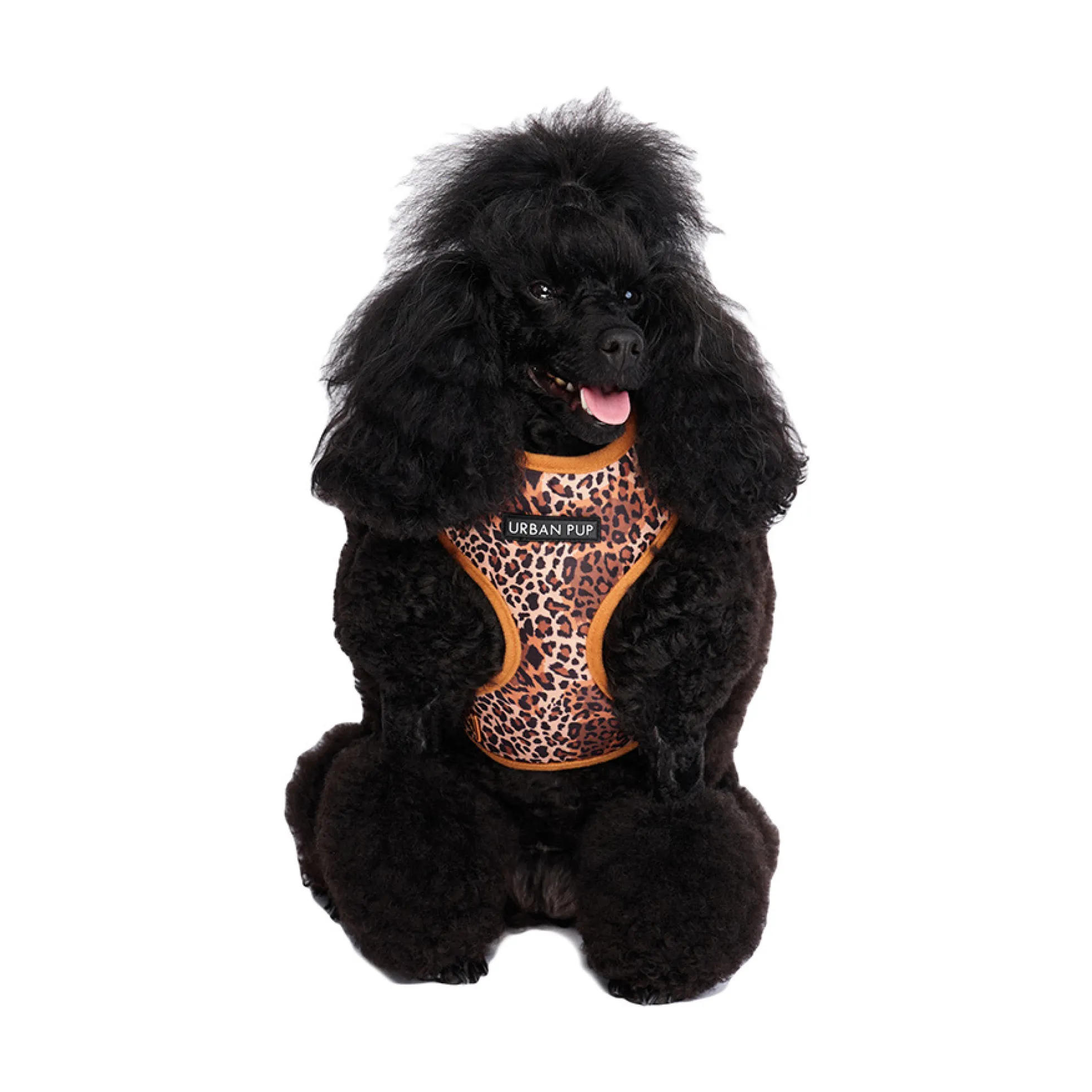 Urban Pup Harness