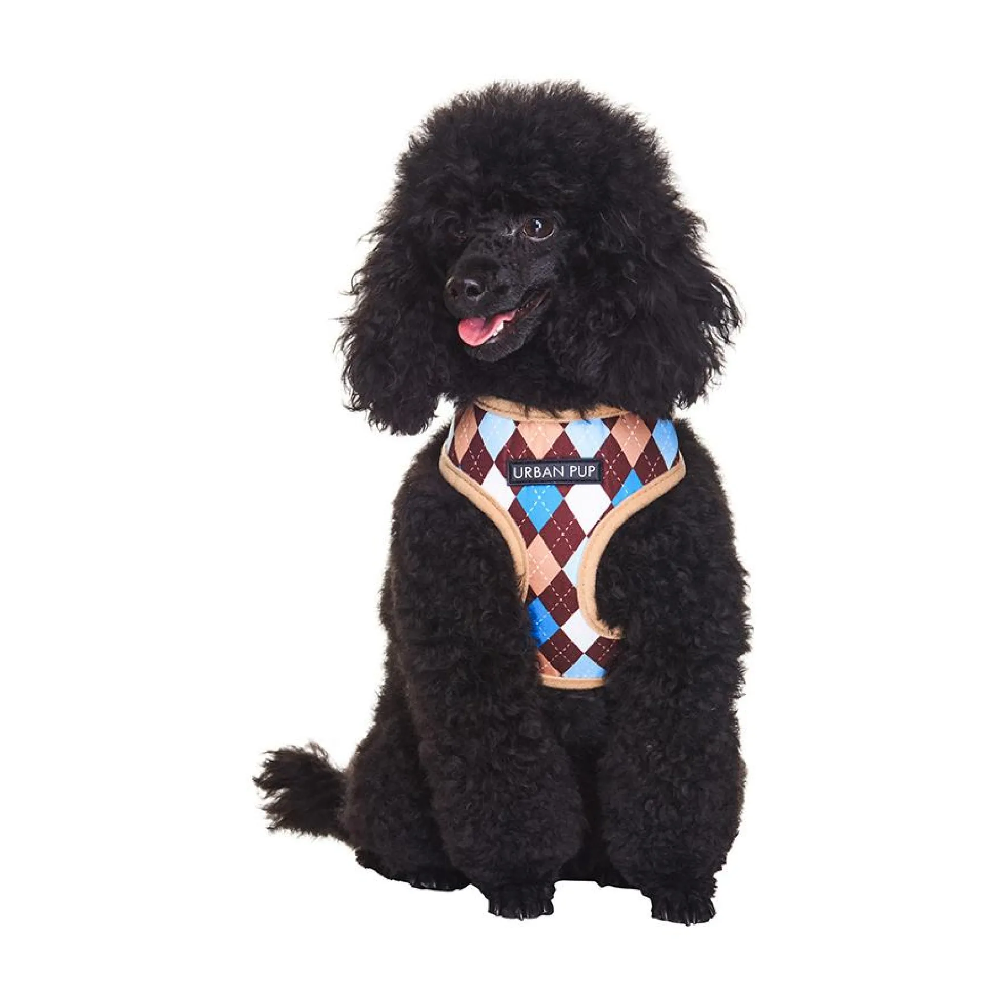 Urban Pup Harness