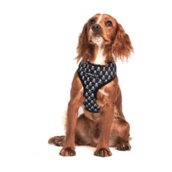 Urban Pup Harness