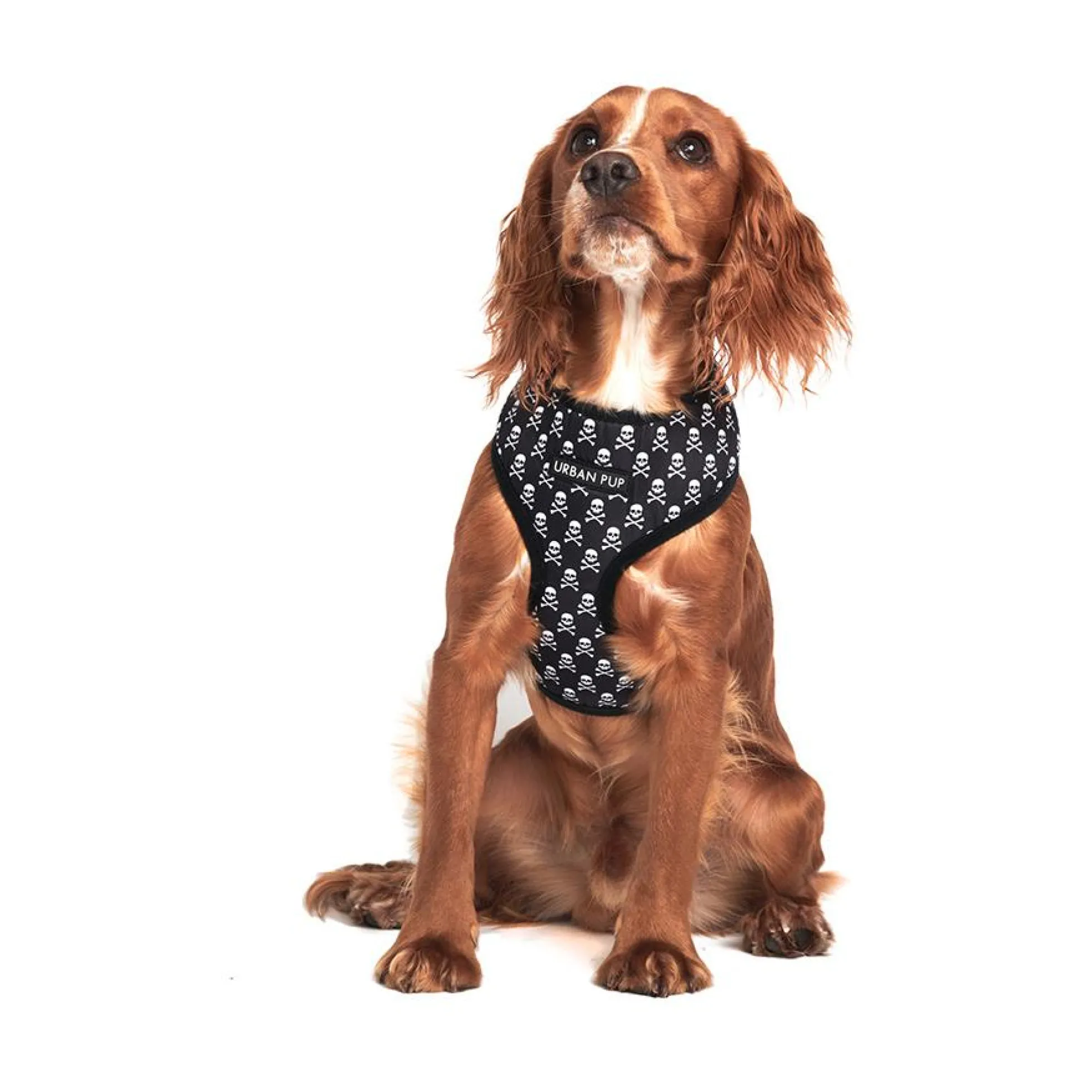 Urban Pup Harness