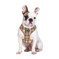Urban Pup Harness