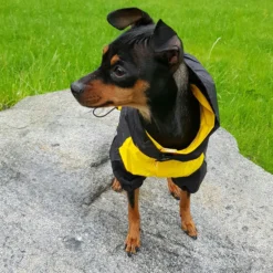 Urban Pup Regnjacka